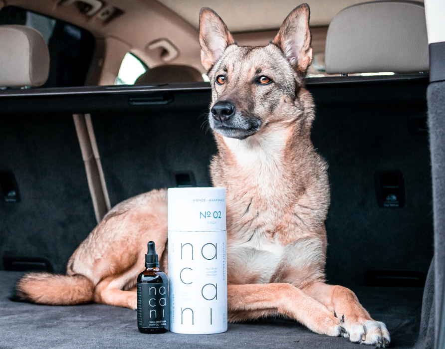 Autofahren - Entspannt von A nach B