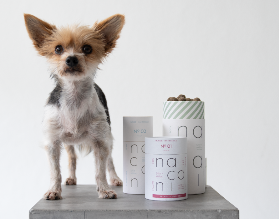 CBD Snacks – Good for Body, Mind, and Soul