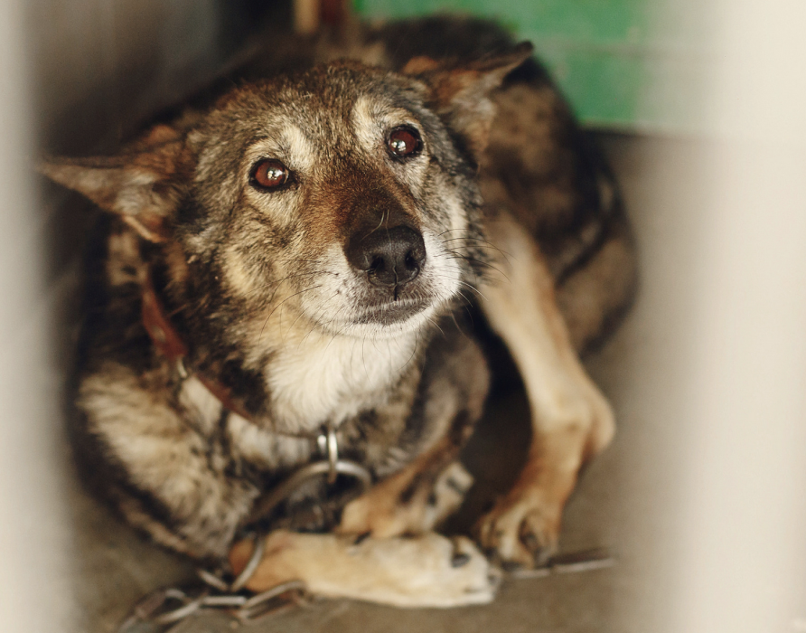 Deprivation syndrome - less stress and more balance