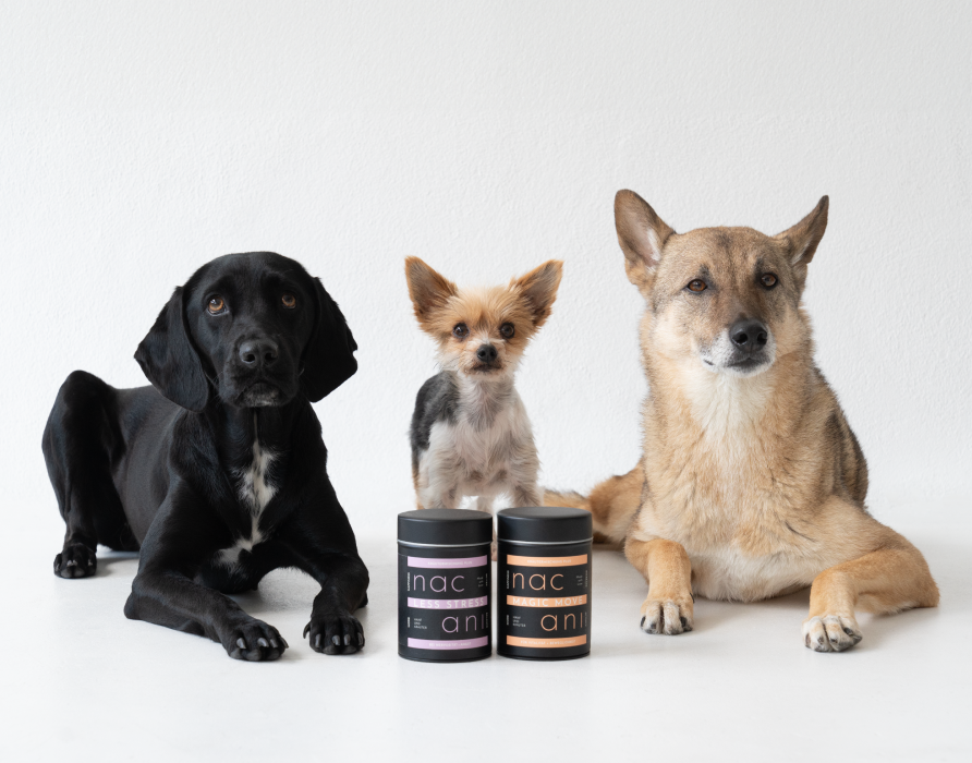 Kräutermix CBD PLUS - Die gebündelte Kraft der Natur