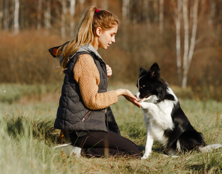 Training - Clever tools for great results