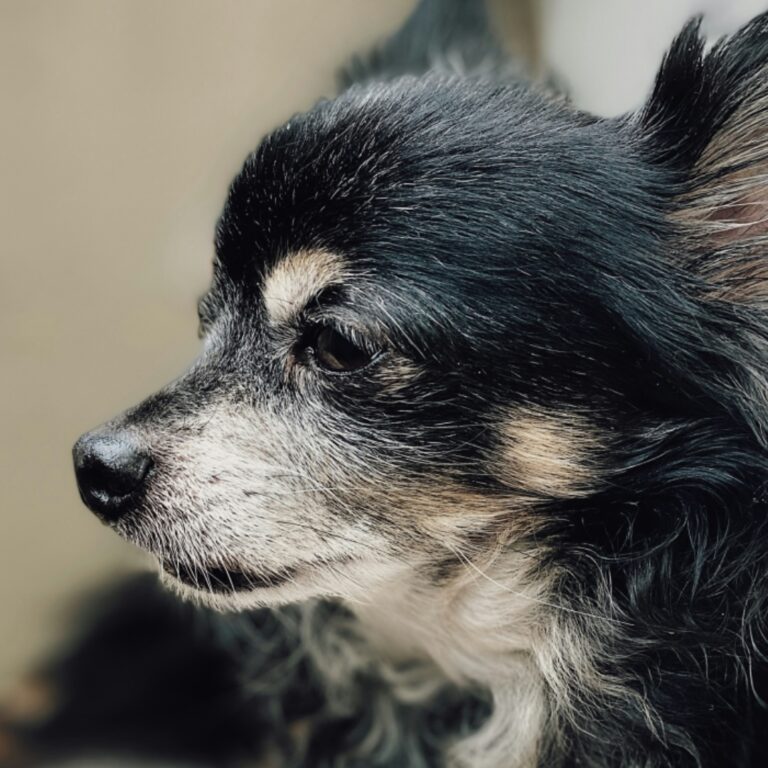 in old age
